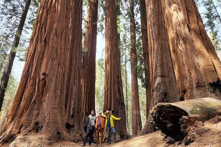 Private Guided Hiking Tour - Sequoia National Park
