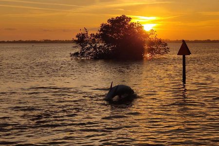 Cocoa Beach Sunset Tour
