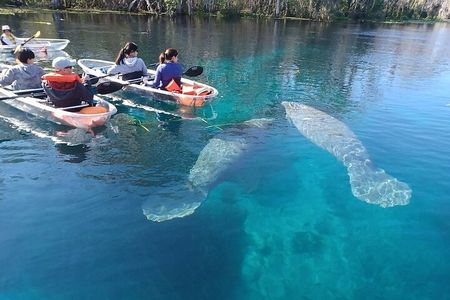 Manatees and Monkeys Clear Kayak Adventure