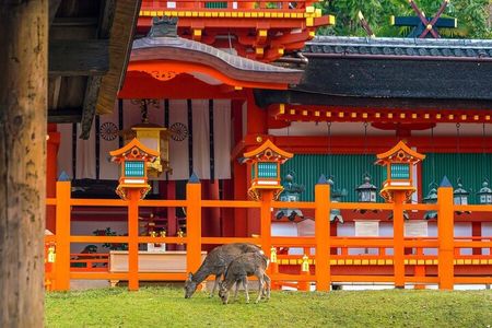 Private Customized 3 Full Days Tour Package: Discover Kyoto, Arashiyama and Nara