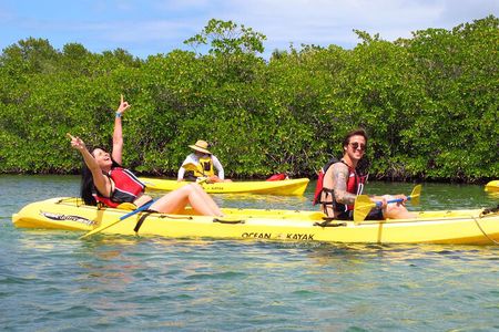 St Thomas Mangrove Lagoon Kayak and Snorkel Tour in the US Virgin Islands