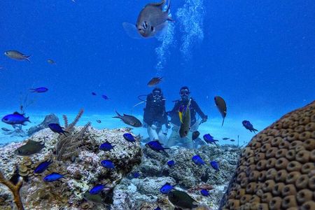 Private Diving Experience for Beginners in San Andres Islands