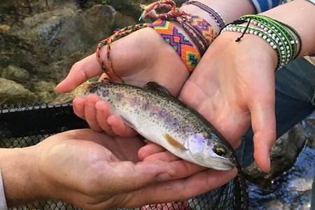 Family Fun Private Half Day Fly Fishing Adventure