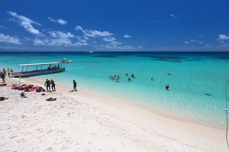 Ocean Spirit Sail to Michaelmas Cay Snorkel or Dive, from Cairns