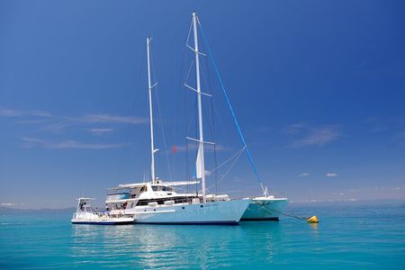 Ocean Spirit Sail to Michaelmas Cay Snorkel or Dive, from Cairns