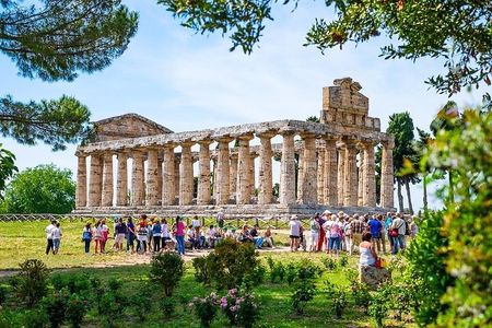 Paestum Small Group Tour with an Archaeologist
