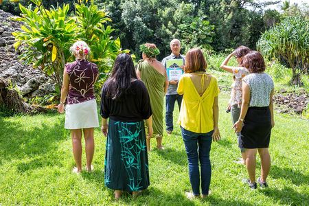 Oahu Off the Beaten Path Small-Group Tour from Honolulu