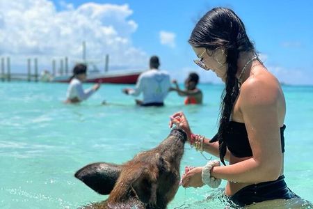 Bahamas: Swimming Pigs, Snorkeling, Beach Break Package