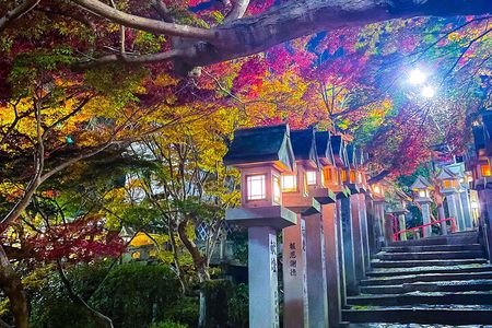 Hidden Gems of Osaka Kyoto Nara - Private Car Tour by Local Guide