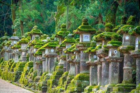 Arashiyama & Nara Highlights: One-Day Private Tour Adventure