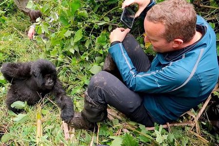 1 Day Rwanda Gorilla Trekking Tour In The Volcanoes National Park