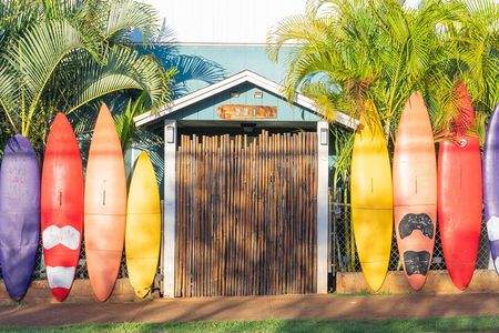 Best of Maui Tour: Sips, Sites and Bites with Lunch