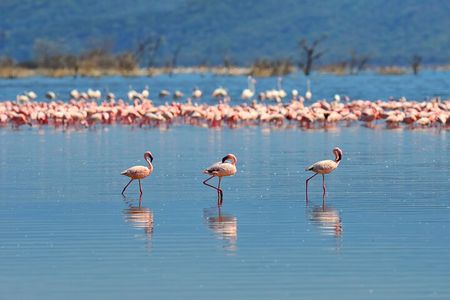 Private Bonaire Island Tour in English with a Bonaire Local