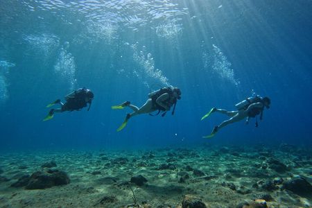 4 Hour Private Activity, Two Tank Diving in San Andres