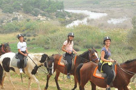 Ephesus Full-Day Tour with Horse Safari from Kusadasi Cruise Port max 10 people