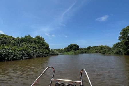 Negombo Lagoon & Muthurjawela Bird Watching Boat Tour
