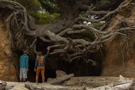 Olympic Full Day Small Group Tour & Hike