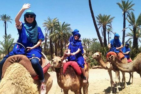 Marrakech Camel Ride in Palmeraie