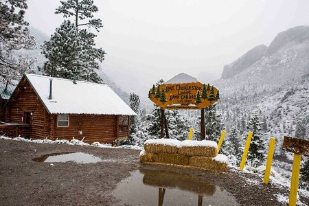 Mount Charleston Tour