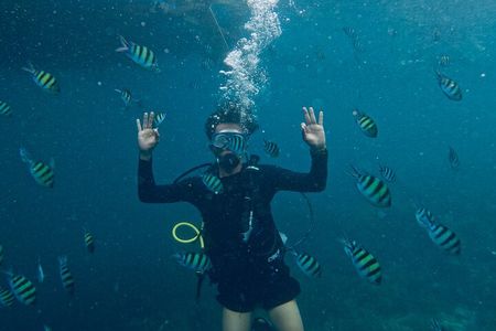 Blou lagoon snorkeling all incllusive