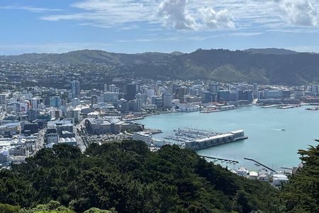 Wellington Full Day Private Tour in Electric Tesla SUV