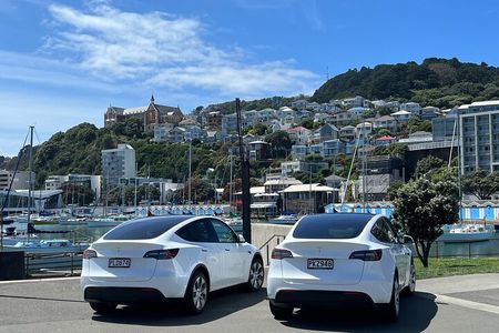 Wellington Full Day Private Tour in Tesla SUV - All inclusive