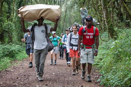 6-Day Guided Tour in Machame Route Mt Kilimanjaro