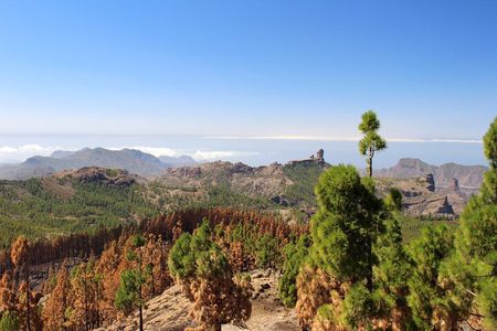 Full day Hiking Gran Canaria Peaks of Gran Canaria