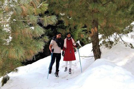 Full-day Trekking Tour to Mohanmarg Meadow
