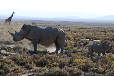 Arusha: Private 3 Day Safari Tarangire, Ngorongoro, Lake Manyara