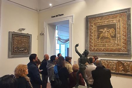 Private Tour of the National Archaeological Museum of Naples
