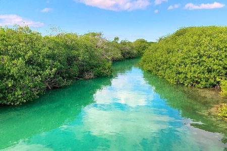 Eco Biosphere Tour, Sian Kaan Swim from Tulum City