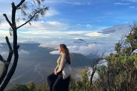 3 Days Private Tour in Bromo and Ijen from Surabaya