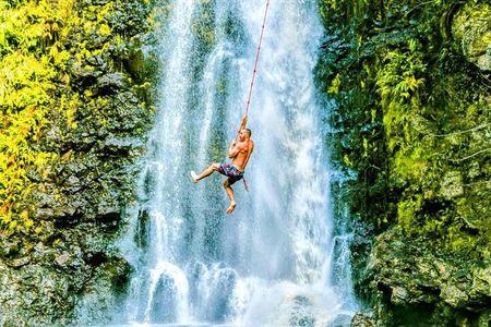 Road To Hana Black Sand Beach Waterfalls & Turtles Tour