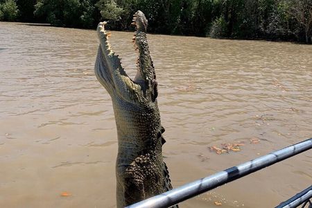 The Croc Bus to the Famous Jumping Crocodile Cruise