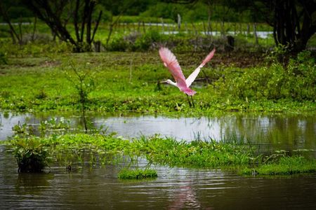 Magdalena River Safari - 6 Hours