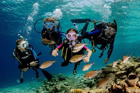 Marmaris Full Day Scuba Diving Two Dives With Lunch Hotel pickup