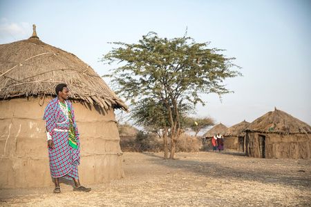 From Arusha : Days Safari Northern Circuit to Maasai Boma
