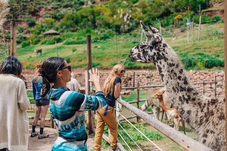 2-Day Private Tour of the Sacred Valley and Machu Picchu