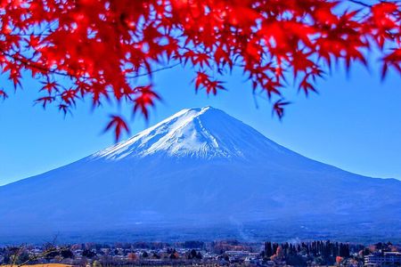 Mt Fuji and Hakone 1-Day Bus Tour Return by Bullet Train