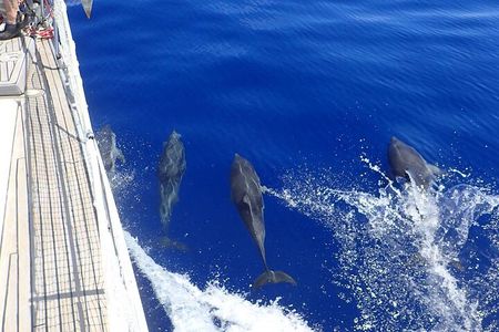 Private Full Day Cruise Tour in Naxos Town