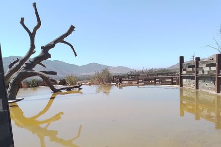 Full Day Private Tour or Guadalupe Valley Weekend