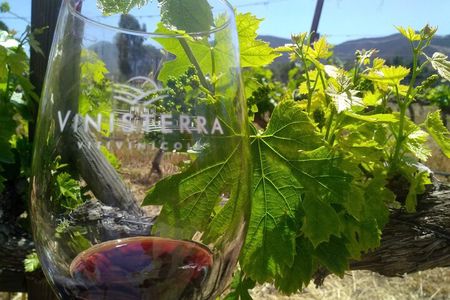 Tours and transport in Valle de Guadalupe