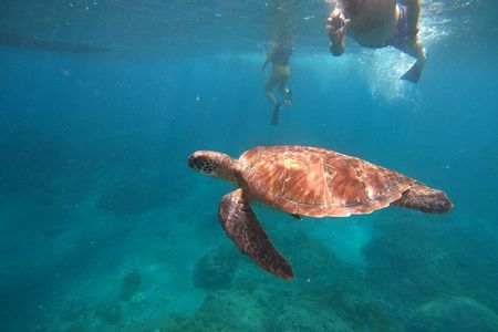 Private Snorkeling in Manta Bay, Gamat Bay & Wall at Nusa Penida