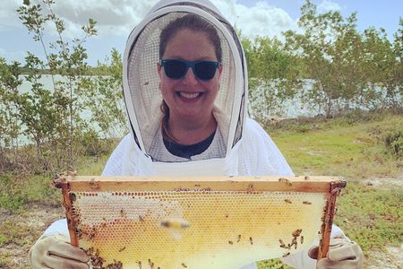 Grand Cayman Beekeeping Experience – Hands-On Hive Tour