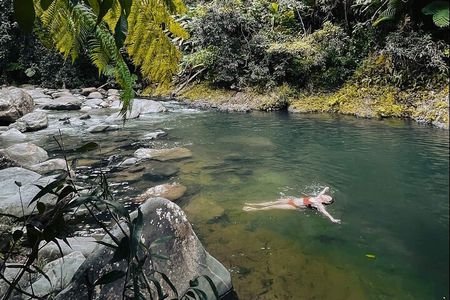 El Yunque National Forest Guided Tour with Transport