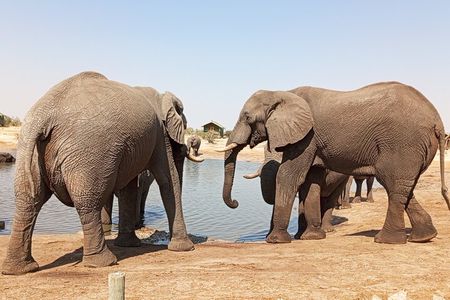 5 Days Victoria Falls, Hwange Full Day and Chobe Full Day Tour
