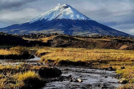 Full-Day Cotopaxi National Park Horseback Ride hike for Beginners