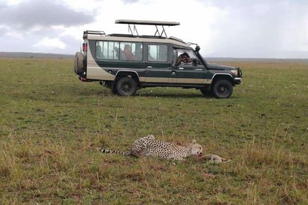 3 Day Private 4x4 Jeep Tour in Masai Mara Safari