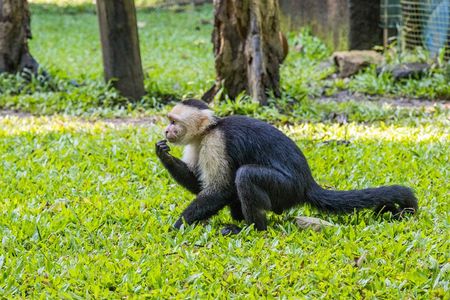 Animal Sightings and Walking Tour at Gumbalimba Park with Addons